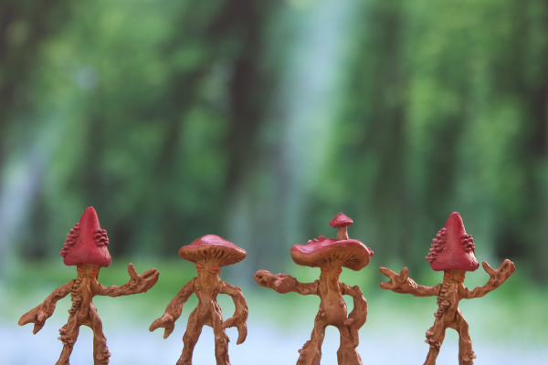  Mushroom Men 